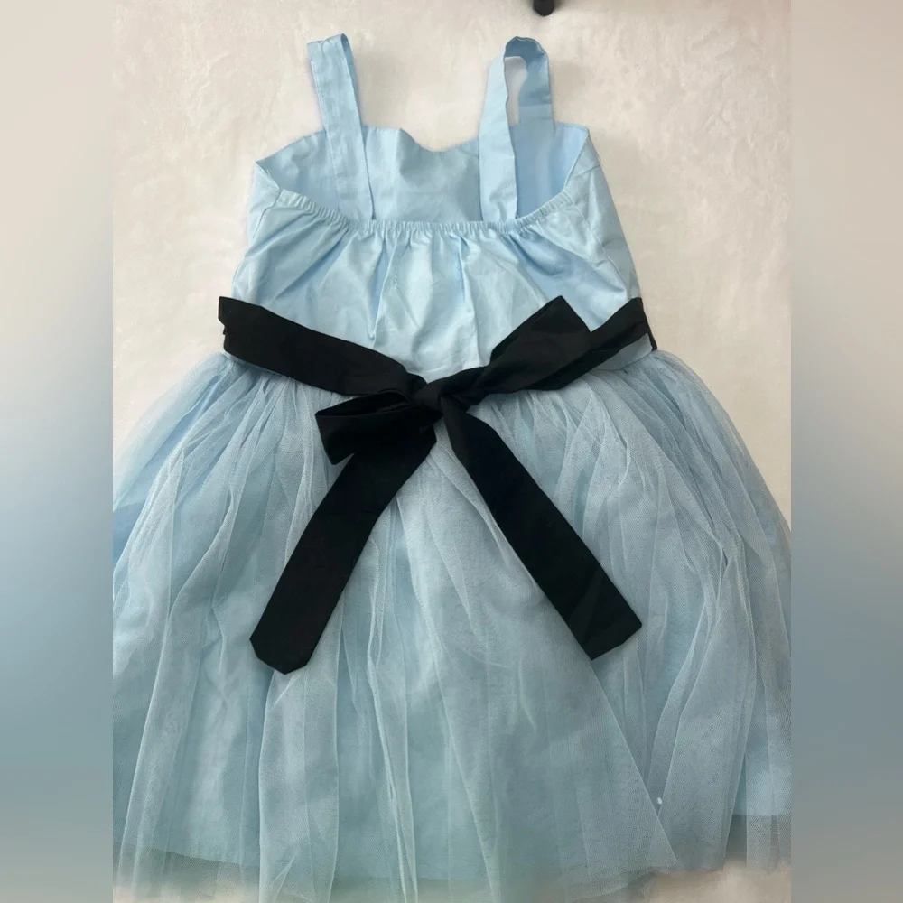 Alice in Wonderland Halloween Costume